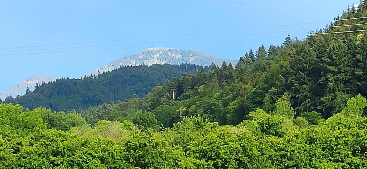 Ferienwohnung Belchenblick Staufen Exterior foto