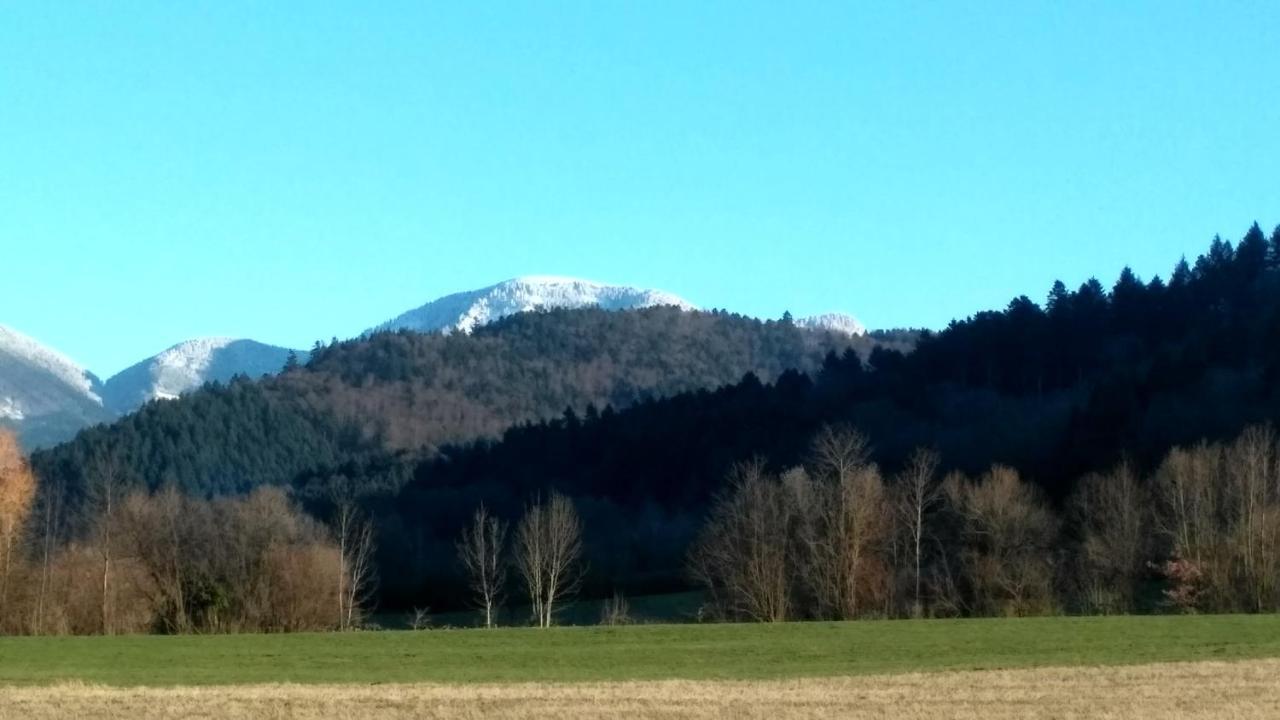 Ferienwohnung Belchenblick Staufen Exterior foto